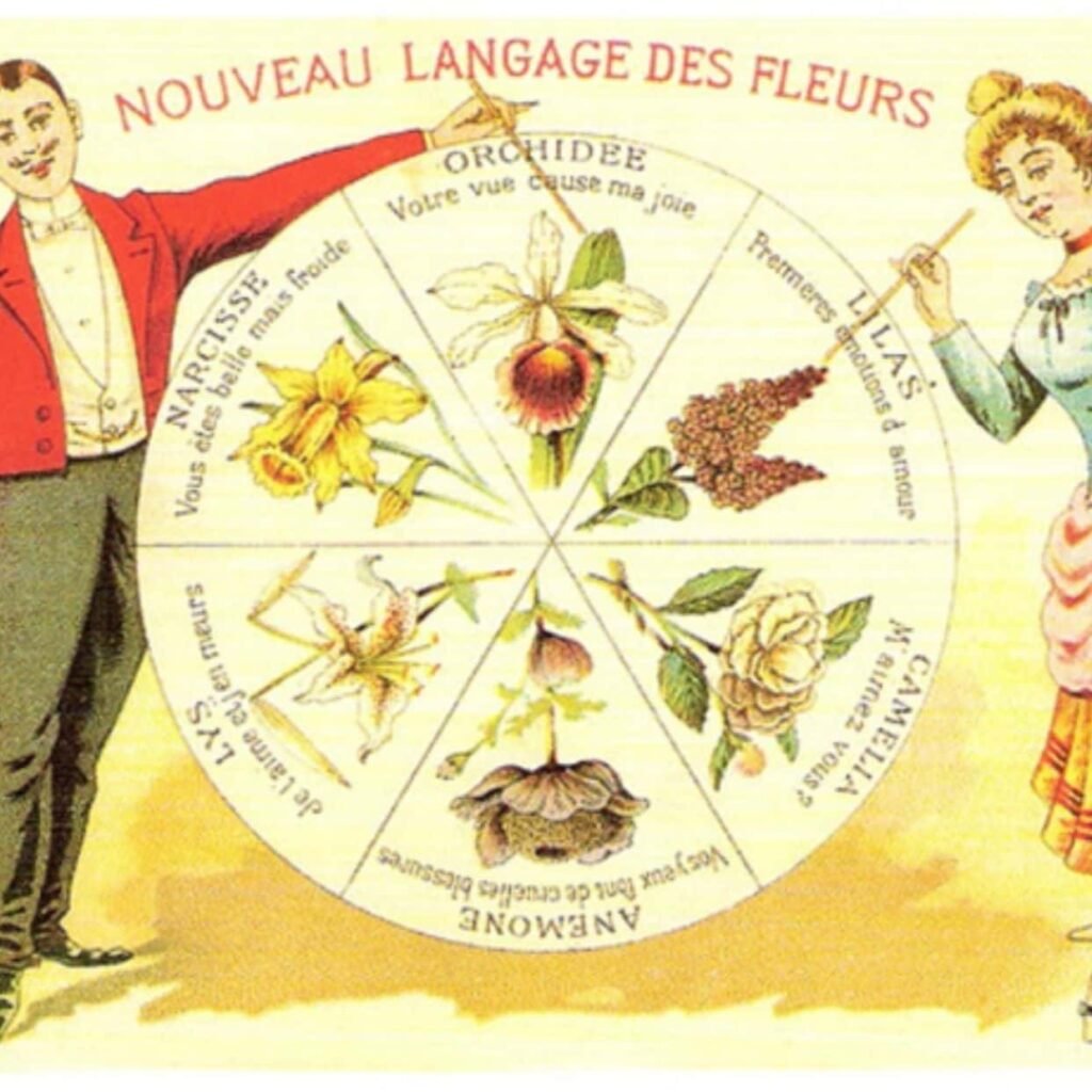 Illustration of various flowers with their meanings, showcasing the symbolic language behind each bloom.