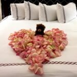Heart-shaped floral arrangement on a bed with a cuddly teddy bear, perfect for a romantic surprise